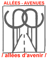 Logo Allées Avenues