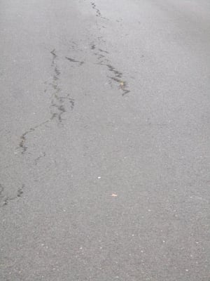 Canicule 2026 routes 4